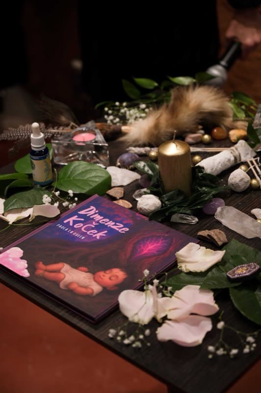 Křest knihy Dimenze koček